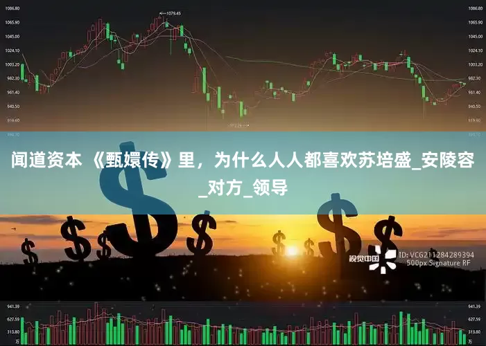 闻道资本 《甄嬛传》里，为什么人人都喜欢苏培盛_安陵容_对方_领导