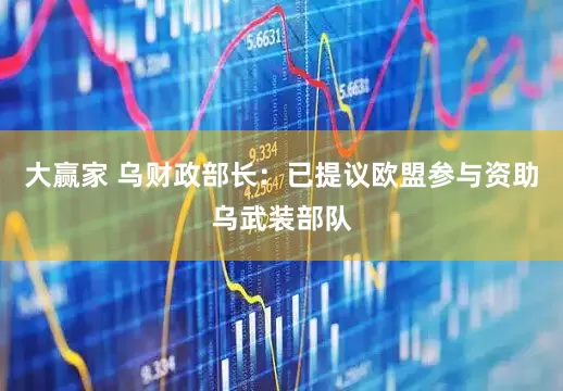 大赢家 乌财政部长：已提议欧盟参与资助乌武装部队