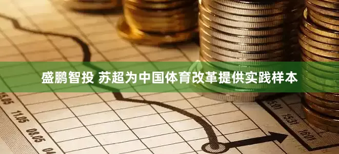 盛鹏智投 苏超为中国体育改革提供实践样本