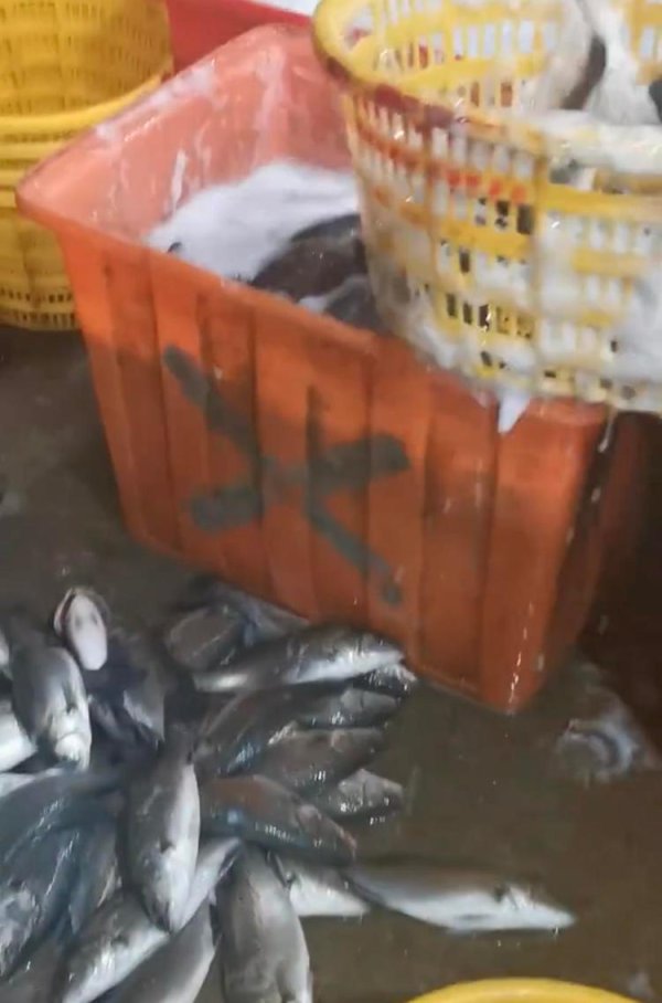 优配无忧 水产市场“麻醉鱼”调查：有商家称麻药有味会换水再卖，有无危害尚不明